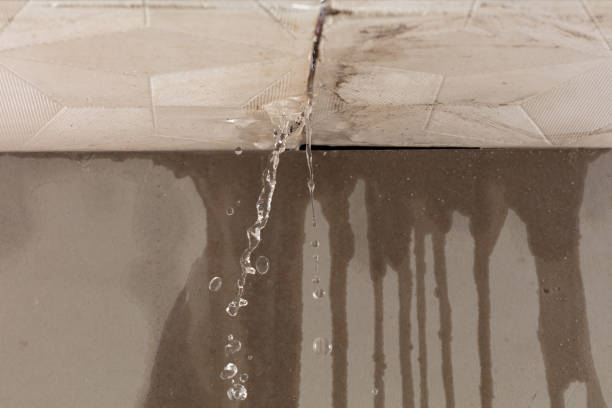 Professional Flood Damage Cleanup technician working in Wilton, IA